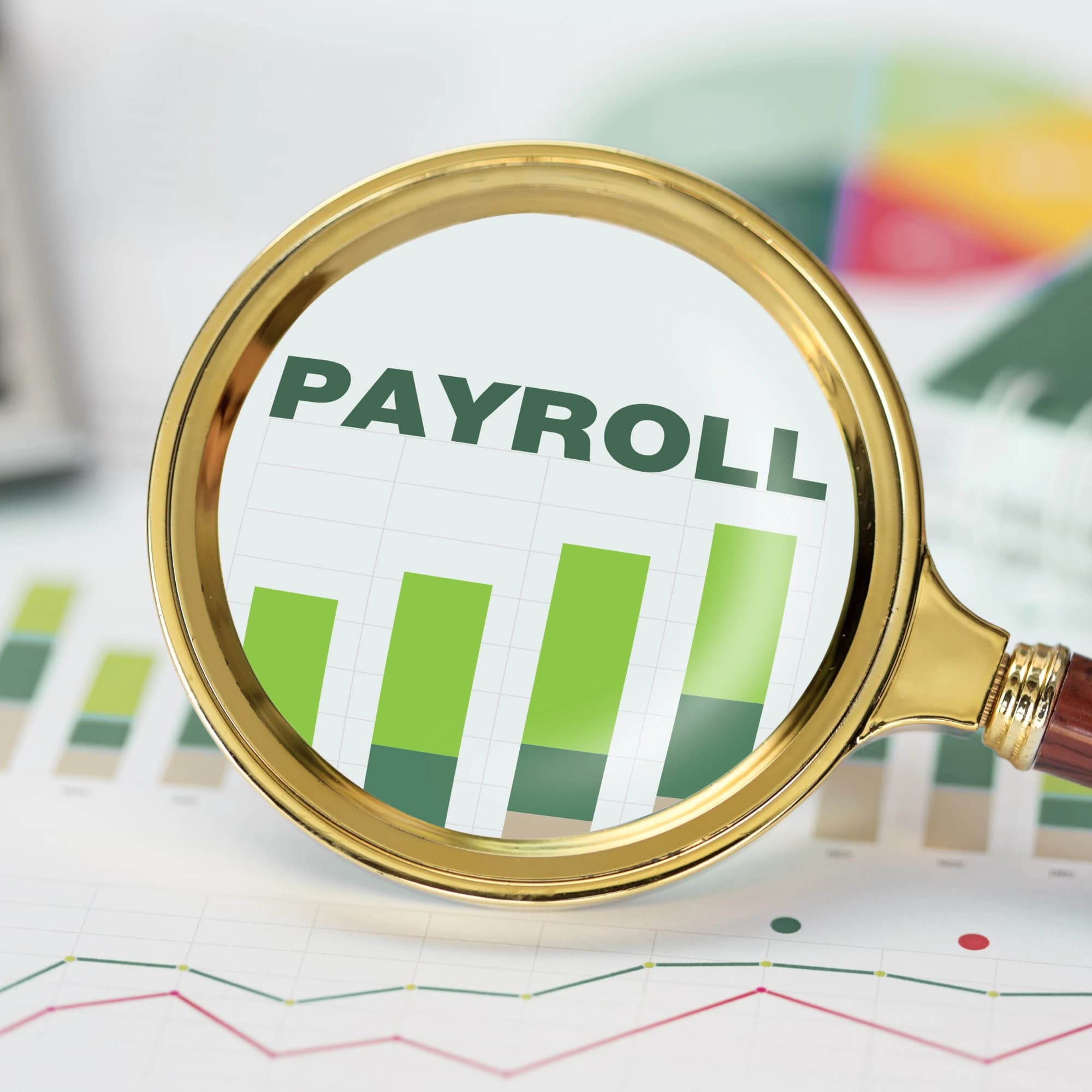 Payroll Support (bookkeeping side)